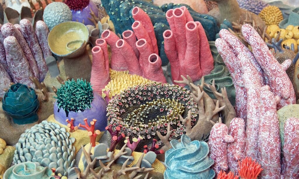 Coral Universe – Artists & Climate Change